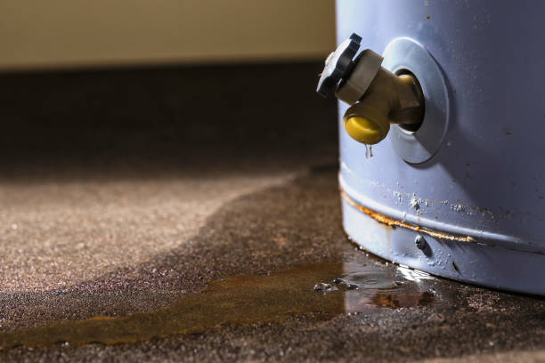 Best Local water damage restoration  in Genoa, AR
