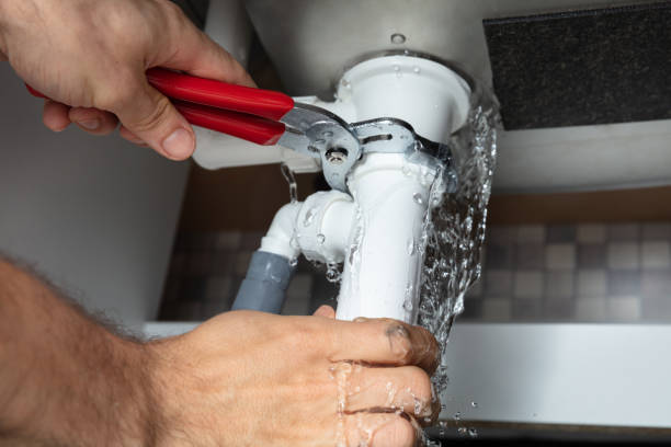 Best Water damage cleanup near me  in Genoa, AR