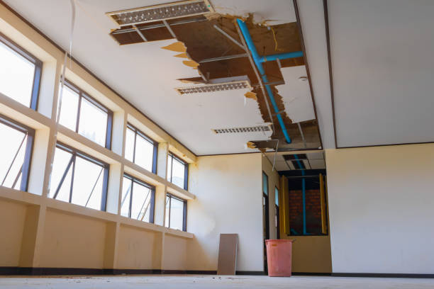 Water damage restoration experts in Genoa, AR