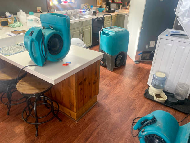 Best Local water damage restoration  in Genoa, AR