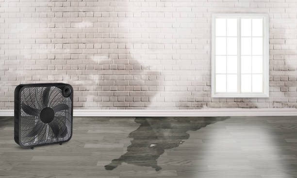 Best Emergency water damage restoration  in Genoa, AR