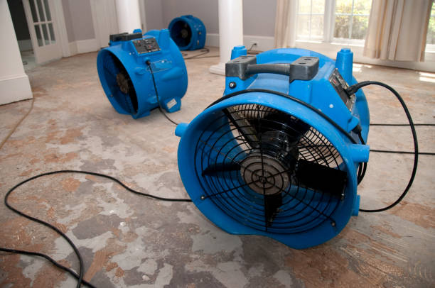 Sewage cleanup and water damage restoration in Genoa, AR