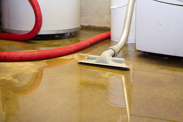 Local water damage restoration in Genoa, AR