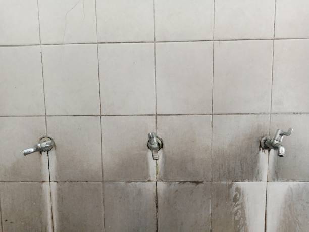 Best Residential water damage restoration  in Genoa, AR