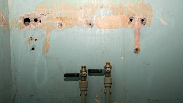 Best Fire Damage Restoration  in Genoa, AR