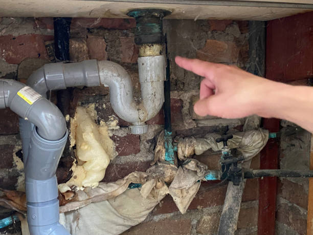 Best Water damage restoration experts  in Genoa, AR